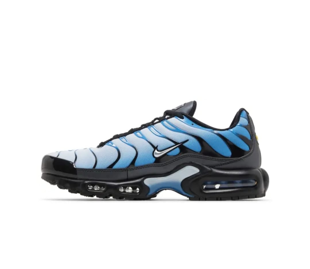 Nike Air Max 2025 / 2026