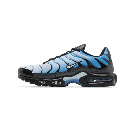 Nike Air Max 2025 / 2026