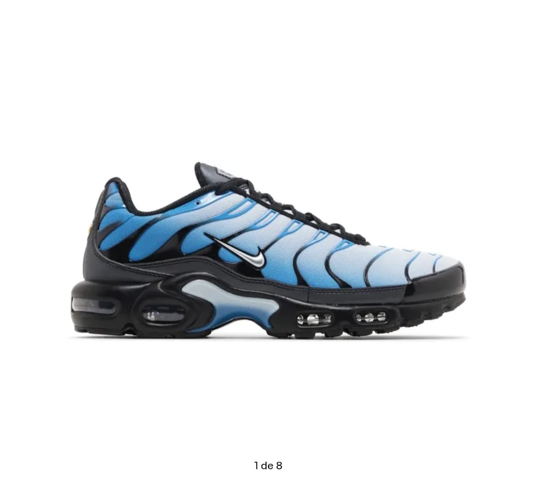 Nike Air Max 2025 / 2026
